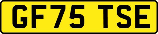 GF75TSE