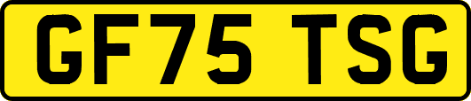 GF75TSG