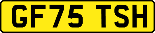 GF75TSH