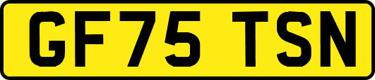 GF75TSN