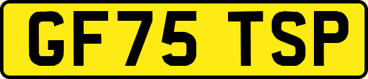 GF75TSP