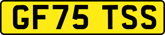 GF75TSS