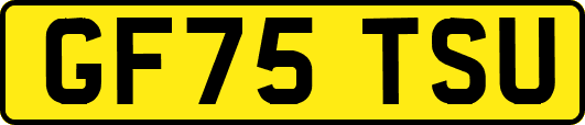 GF75TSU