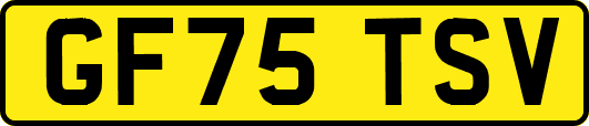 GF75TSV