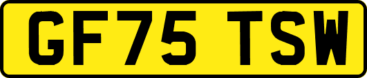 GF75TSW