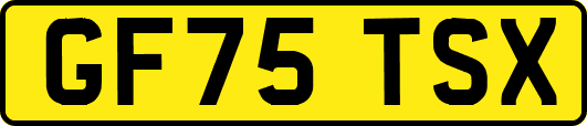 GF75TSX