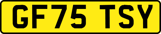 GF75TSY