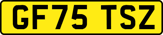 GF75TSZ