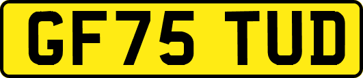 GF75TUD