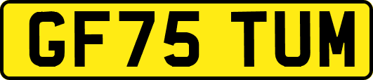 GF75TUM
