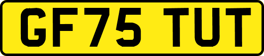 GF75TUT