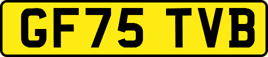 GF75TVB