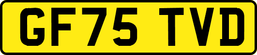 GF75TVD