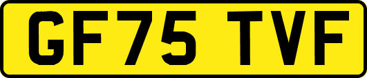 GF75TVF