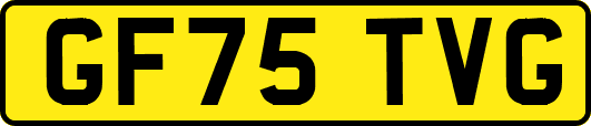GF75TVG