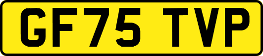 GF75TVP