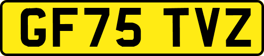 GF75TVZ