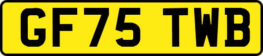 GF75TWB