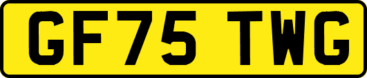 GF75TWG