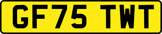 GF75TWT