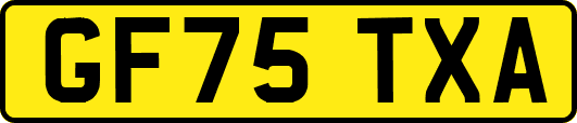 GF75TXA