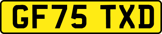 GF75TXD