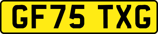 GF75TXG