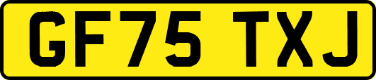 GF75TXJ