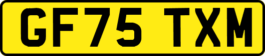 GF75TXM