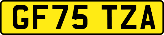 GF75TZA