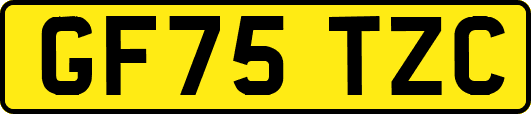 GF75TZC