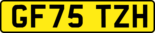 GF75TZH