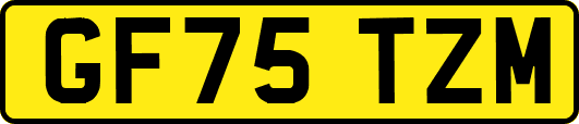 GF75TZM