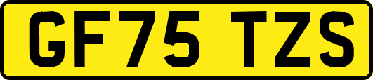 GF75TZS