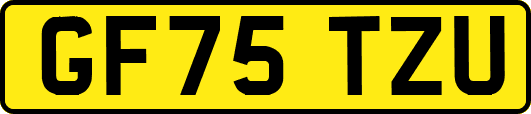 GF75TZU