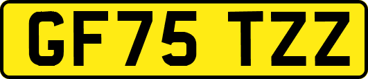 GF75TZZ