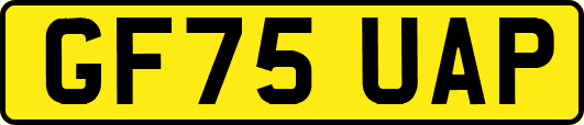 GF75UAP