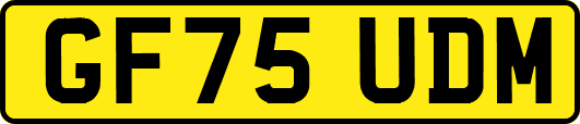 GF75UDM