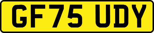 GF75UDY