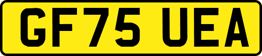 GF75UEA