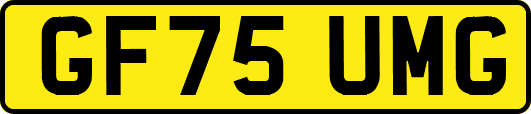 GF75UMG