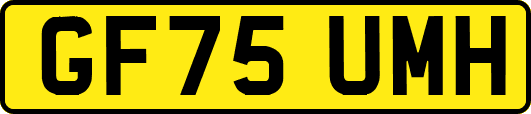 GF75UMH