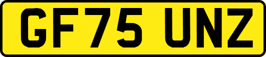 GF75UNZ
