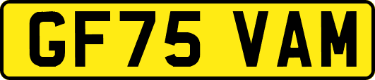 GF75VAM