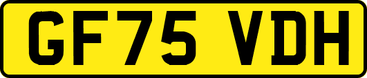 GF75VDH