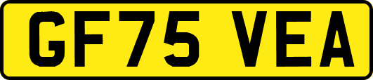 GF75VEA