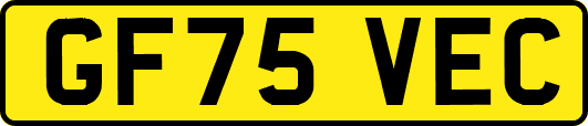 GF75VEC
