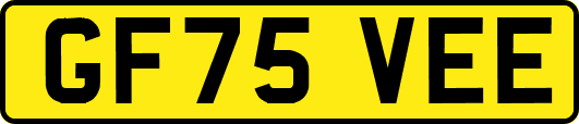 GF75VEE