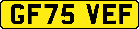GF75VEF