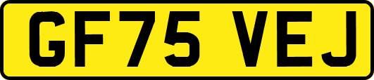 GF75VEJ
